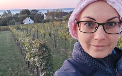 Onko napló – 2022.11.28.