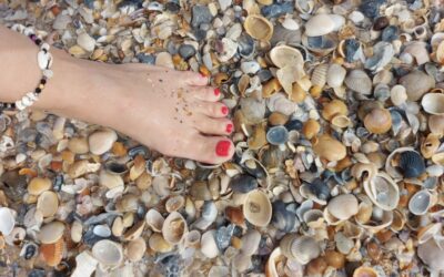 Onko napló – 2023.10.22.