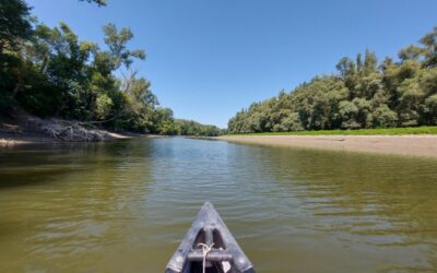 Onko napló – 2022.07.22.